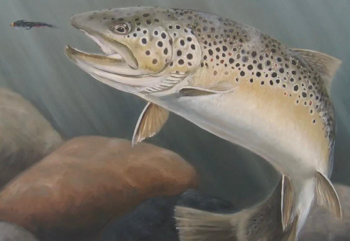 Озерная форель