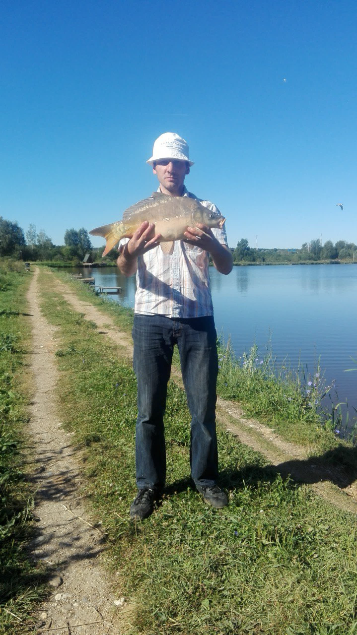 Зеркальный карп